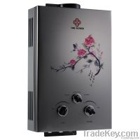 Gas Water Heater