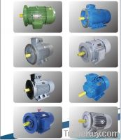 AC Electrical Induction Motors