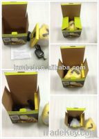 Solar Lantern Light