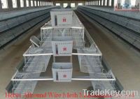 hen-house design farm equipment From China