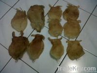 Fish maw