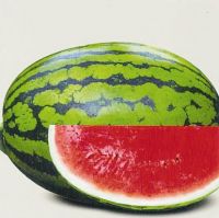 Hybrid Water Melon Seed