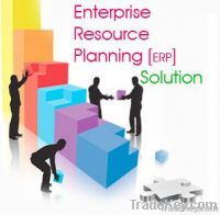 ERP (Enterprise Resource Planning)