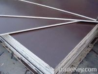 Film Face Plywood