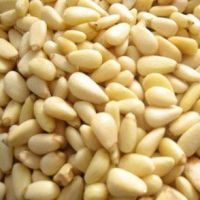 Organic Chinese Pine Nut Kernel