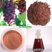 Grape Seed Extract