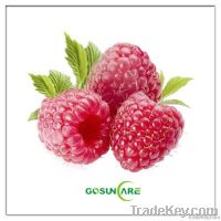 Raspberry Extract