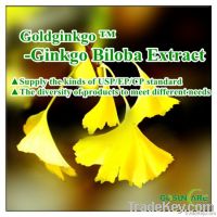 Ginkgo Biloba Extract