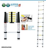 telescopic ladder