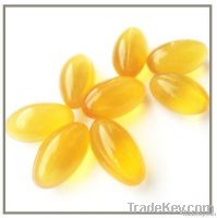 REISHI SPORE OIL SOFT CAPSULE