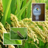 Environmentally friendly pesticide Thiacloprid TC 98%