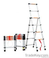 telescopic ladder