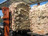 Raw hide and skin