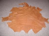 ostrich leather
