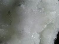 virgin polyester staple fibre