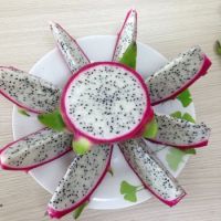 VIETNAM FRESH DRAGON FRUIT