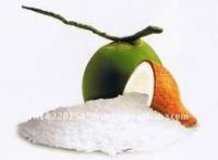 Desiccated coconut high quality
