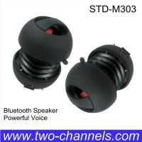 Portable Bluetooth Wireless Speaker Supporting Iphone, IPOD, MP3/4, Computer and Laptop From China