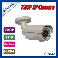 Megapixel IP Camera