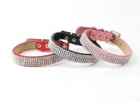 beautiful pet collar From China