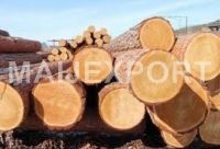 PINE  WOOD LOGS