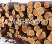 PINE  WOOD LOGS