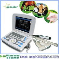 3.	SS-10V Veterinary Laptop PC Based Ultrasound B Scanner(3D image opt