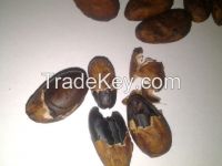 https://cn.tradekey.com/product_view/Cacao-Bean-7257381.html