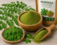 Premium Quality Moringa Leaves Powder | Natural Herbal Product Supplier & Exporter from Pakistan