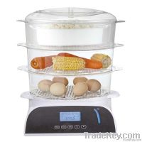 food steamer