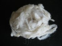 Sheep Wool