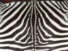 EXOTIC AFRICAN ZEBRA SKIN RUG @ 10.2FT