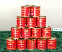 Tomato Paste 210g