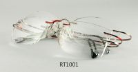 BETA titanium frame