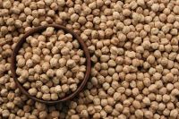 chickpeas suppliers,chick pea exporters,chickpea traders,kabuli chickpea buyers,desi chick peas wholesalers,low price chickpea,best buy chick peas,buy chickpea,