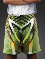 Men&#039;s Sport Shorts 