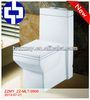 Ceramic Washdown One Piece Sanitary Ware WC Toillet ZZ-MLT-9906