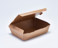 Paper Lunch Box