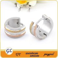 fashion stainless steel earrings