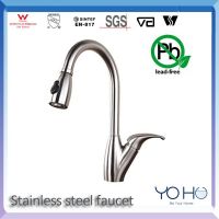 stainless steel kitchen faucet with pull-out spray YH1006B From China