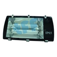 Energy Saving Induction Tunnel Light