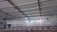 steel structure poultry house construction