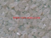 Vietnam Japonica Rice