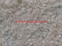 Vietnam Calrose Rice