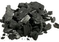 Steam Coal and Charcoal