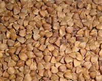 top quality Roasted Buckwheat From France