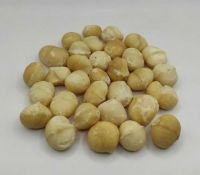 Macadamia Nuts &amp; Kernels for sale, Hazel Nuts, Pecan Nuts for sale