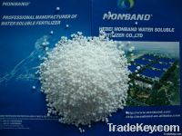 amonium sulphate
