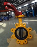 cast iron lug/wafer type butterfly valve From China