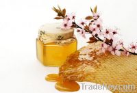 Acacia honey